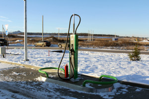 beloil-1_kolonni_01.jpg